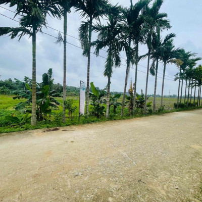 Giáo Ái Điện Hồng - Đường thông gần chợ Lạc Thành