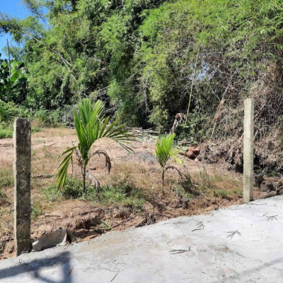 Bê Tông Điện Nam Trung Giá Rẻ chỉ hơn 6tr/m2