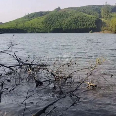 CC em chào bán lô đất vườn tam sơn Núi Thành wew sông  Mát mẻ