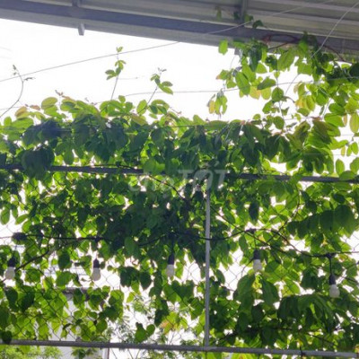 Nhà khởi nghiệp - Đắc địa