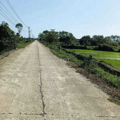 bán lô đất vườn Tam Anh Bắc, Núi Thành wew sông Trường Giang Mát mẻ