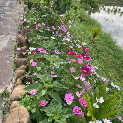 bán vườn có nhà cấp bốn