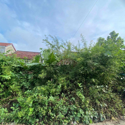 Bán nhanh lô đất đẹp thổ cư 100% giá tốt khu vực cẩm châu hội an