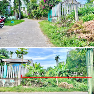 🛎️CỨU CỌC cặp liên kề sát QL1A 30mét 7️⃣3️⃣0️⃣/lô