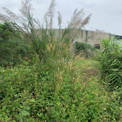 Bán lô đất đường 3m sau lưng sân vận động xã Đại Hiệp