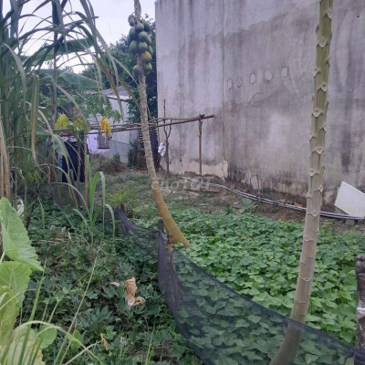 Đất mặt tiền gần chợ mới