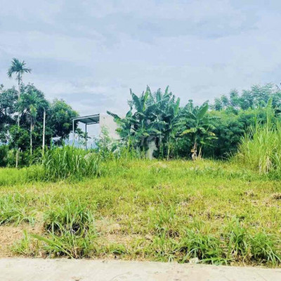 Đại Cường. Đại Lộc. cách DT609 100m