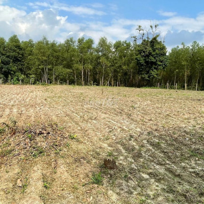 bán 24696 m2 đất ở vườn thuộc xã Quế Mỹ, Quế Sơn, Quảng Nam 780 triệu