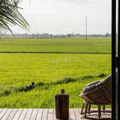 CẦN BÁN ĐẤT Ở TẠI BÌNH GIANG