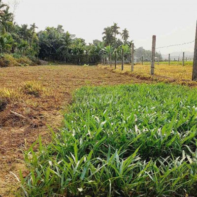 CẦN BÁN GẤP NHÀ c4 sát Khc Đống Quế Sơn