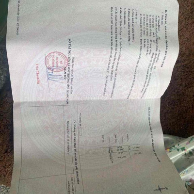 Bán Vài Lô Đất Nền Bê Tông 2m5