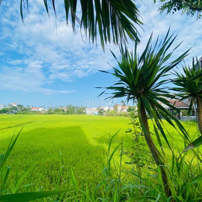 Bán lô đất view ngay lúa cẩm châu hội an