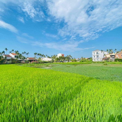 Cần bán lô đất gần trung tâm phố cổ hội an giá chỉ 1tỷ mầm non