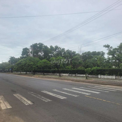 Đất ở đô thị sau lưng trường đại học Phan Châu Trinh