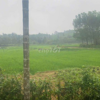 Cần bán vườn cây ăn quả 9000m. Có 400m đất ở. Có sẵn nhà cấp 4