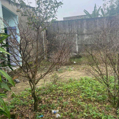 Bán đất khu phu chợ điện ngọc