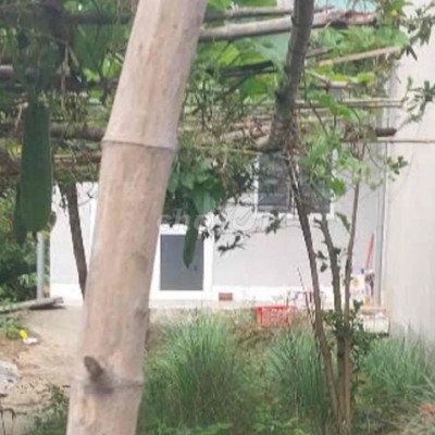 Cần bán đất bê tông chính tứ ngân giáp đà nẵng