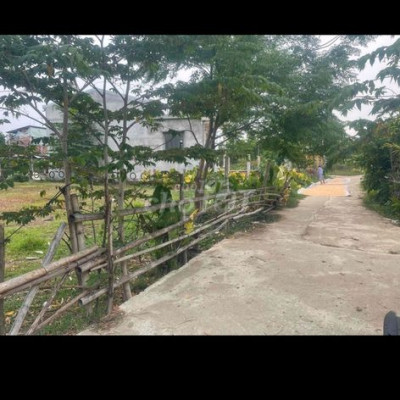 Bán đất trồng cây hàng năm