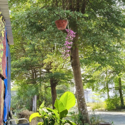 Chào bán lô đất Kpc điện dương