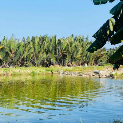 Bán villa view hồ cẩm thanh đường oto đang cho thuê dòng tiền ổn định