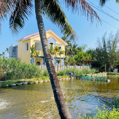 Bán villa cẩm thanh view hồ đang cho tây thuê dòng tiền đều đặn