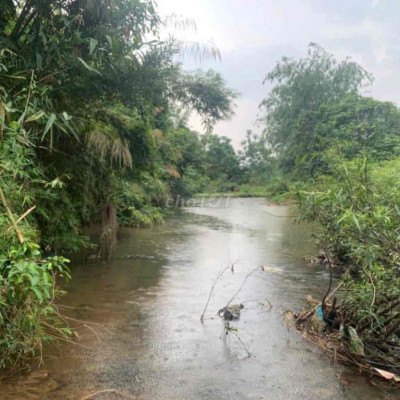 bán đất trồng cây bám suối phù hợp chuyển đổi đất ở