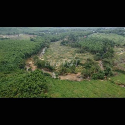 cần bán đất vườn bám suối phù hợp nghĩ dưỡng làm fam trang trại