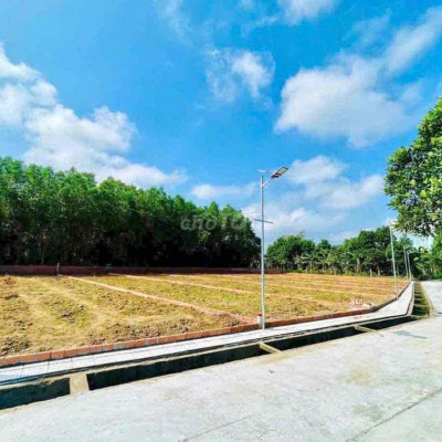 🎯 MUA ĐẤT NGAY HÔM NAY – LỜI GẤP NHIỀU LẦN NGÀY MAI 🎯