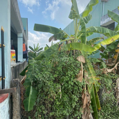 Bán Đất Sổ Đỏ Nam Phước 100m2, trung tâm gần UBND, chợ, bệnh viện