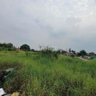 Đất trống tại Đại Lộc 100m2 thích hợp trồng cây,...