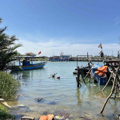 🎉CỰC RẺ, LÔ GÓC DT KHỦNG 500M2, VIEW SÔNG CẨM NAM CHỈ 10.2 TỶ.