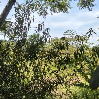 Đất vườn giáp Đà Nẵng