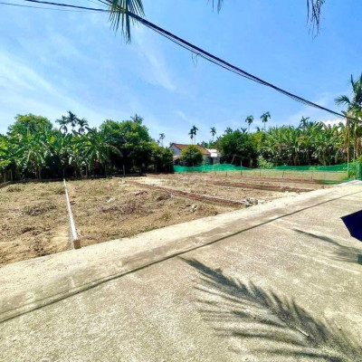 Lốc 4 lô giá chỉ 440 triệu gần Ngã 4 Kiểm Lâm