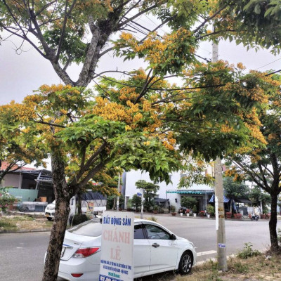 Chủ cần tiền nên gửi bán gấp lô đất đường lớn