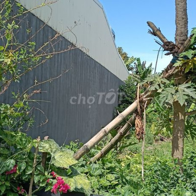 Đất sổ đỏ 150m2 đường Thanh Hoá, phường Hoà Hương, tp Tam Kỳ