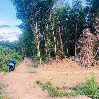 Cần bán lô đất Bình Quế, Thăng Bình