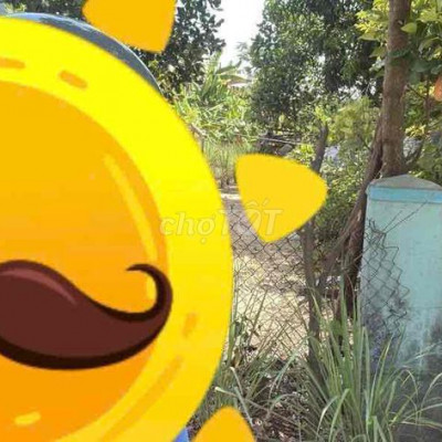 HỘI AN CẨM THANH ĐẤT 10X27M XÂY HOMESAY VÀ VILA ĐỈNH GIÁ CHỈ 4T690