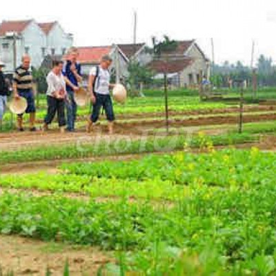 253m2 đất xây villa biệt thự làng rau trà quế Hội An siêu hot