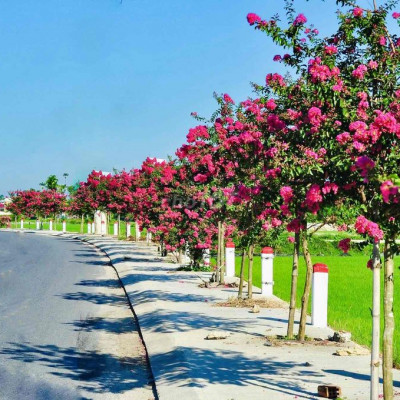 Chỉ 6xx đất ven sông - hướng biển - gần phố cổ/Sổ hồng sẵn