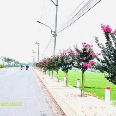 CƠ HỘI SỞ HỮU 5 LÔ ĐẤT NỀN SÁT HỘI AN–ĐÀ NẴNG MỚI-GIÁ TỪ 530TR/1 LÔ