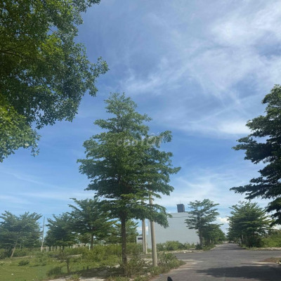 6x24=144m2 đường 17m5 giá siêu đầu tư hướng tây nam