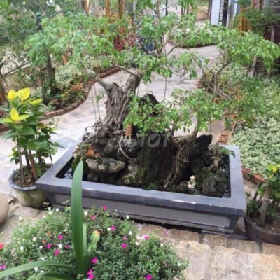 cho thuê nhà ngay trung tâm 350m