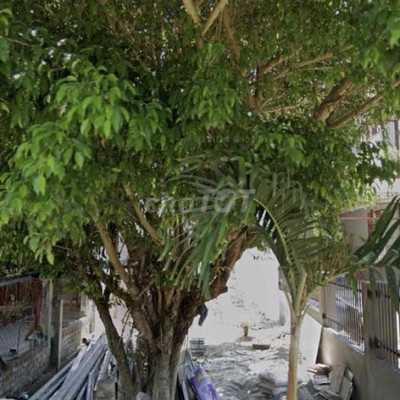 Đất bê tông chính khu điện nam bắc trung tâm điênn bàn đông