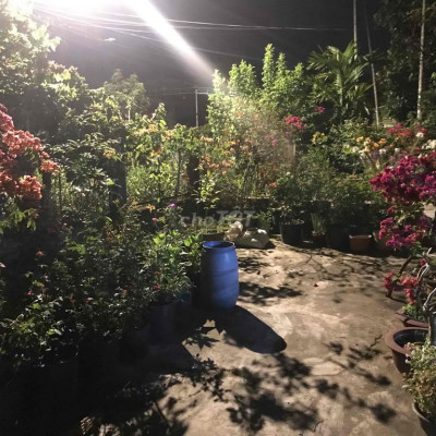 Đất có sổ, 100m2, đường Nông Cống, thị trấn Nam Phước, huyện Duy Xuyên