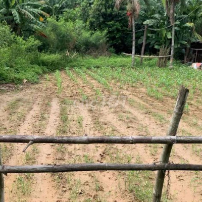 📍Đất Đại Nghĩa - Đại Lộc - Quảng Nam