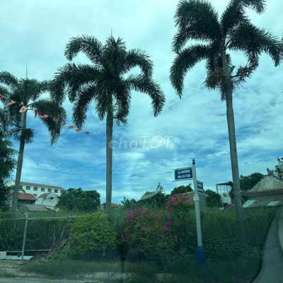 Chính Chủ Cần Bán Nhanh Lô GÓC 1.500M² Trương Minh Hùng, Hội An.