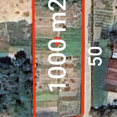 3 mặt tiền 20 x 50 (1000m2), gần khu Công Nghiệp