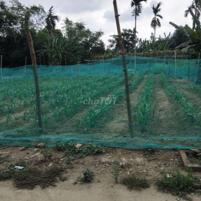 Đất thổ cư diện tich 110m2. Sổ hồng sẵn