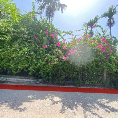 mặt tiền Depam nằm vị Trí khu du lịch sinh thái Rừng Dừa