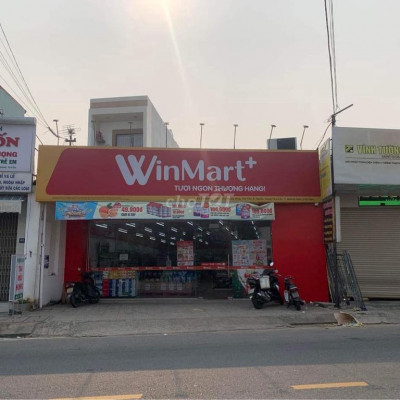 Mặt tiền đường Đỗ Đăng Tuyển, thị trấn Ái Nghĩa, Đại Lộc